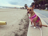 Pretty Pink Luxe Crochet Harness