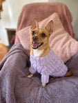 Baby Blue Pawfect Pup Jumper - Clearance Sale