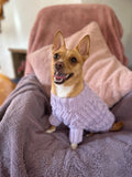 Baby Blue Pawfect Pup Jumper - Clearance Sale
