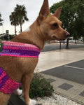 Pretty Pink Luxe Crochet Harness