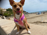Pretty Pink Luxe Crochet Harness