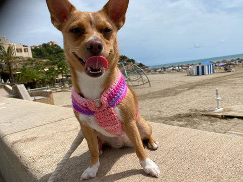 Pretty Pink Luxe Crochet Harness