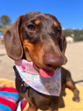 Spring Bunnies Pink Vichy Dog Bandana - Snap On